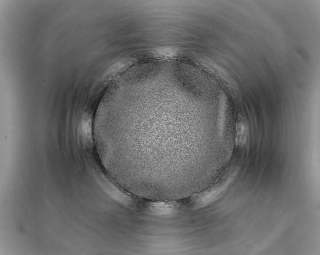 X0000111840238200907301056