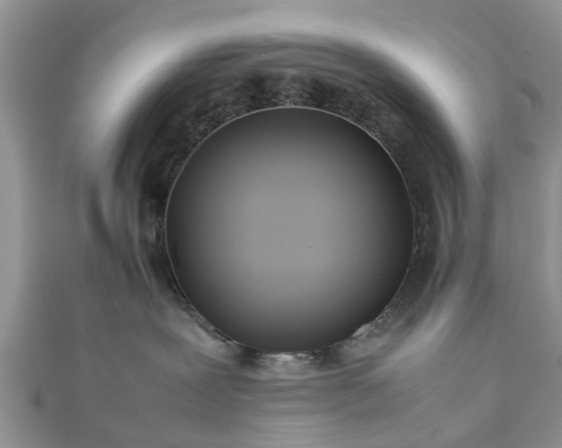 X0000111840239200907301056