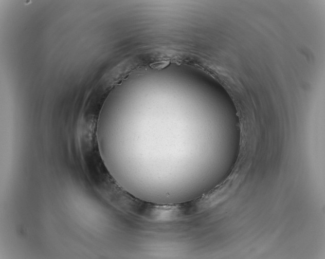 X0000111840240200907301056