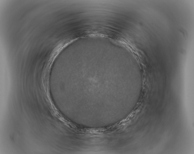 X0000111840241200907301056