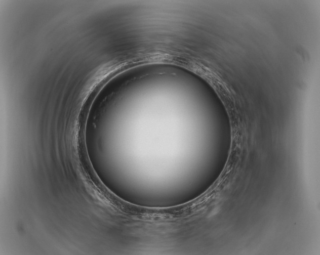 X0000111840242200907301056