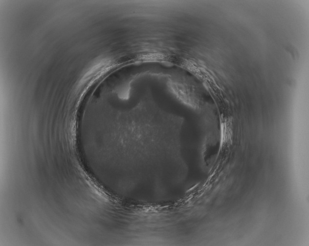 X0000111840243200907301056