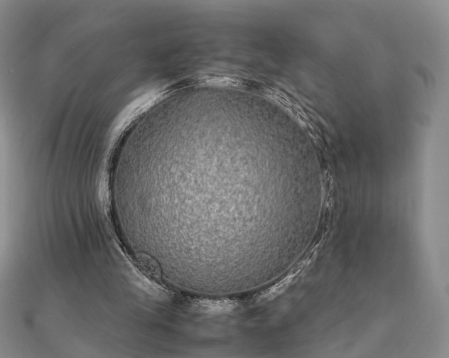 X0000111840245200907301056