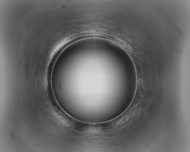 X0000111840248200907301056