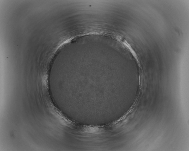 X0000111840249200907301056