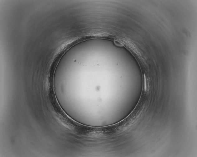 X0000111840252200907301056