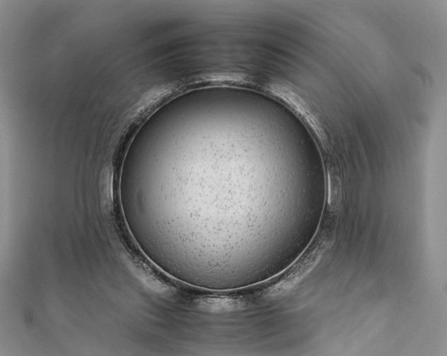 X0000111840253200907301056