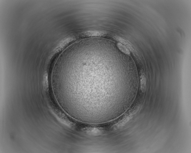 X0000111840254200907301056