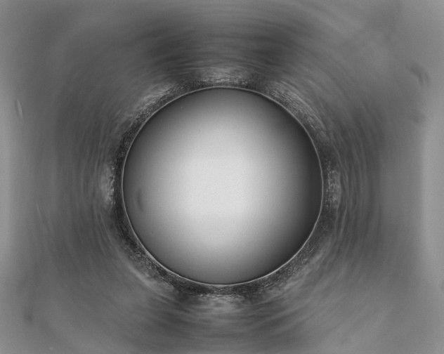 X0000111840255200907301056