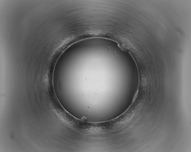 X0000111840256200907301056