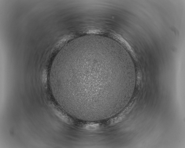 X0000111840257200907301056