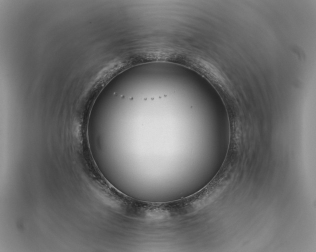 X0000111840258200907301056