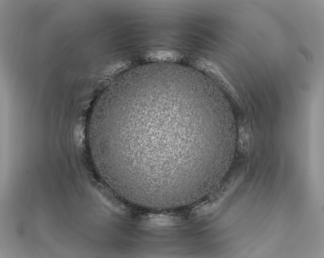 X0000111840259200907301056