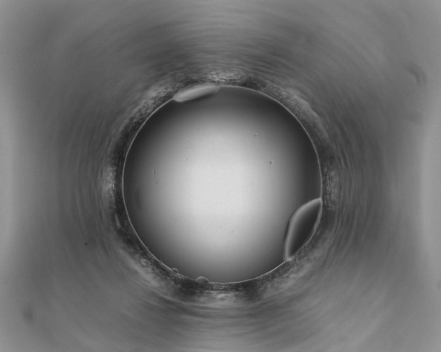 X0000111840260200907301056