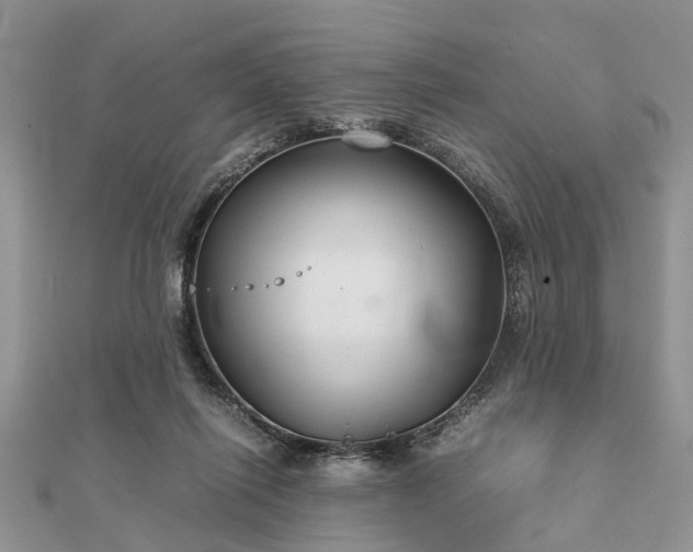 X0000111840262200907301056