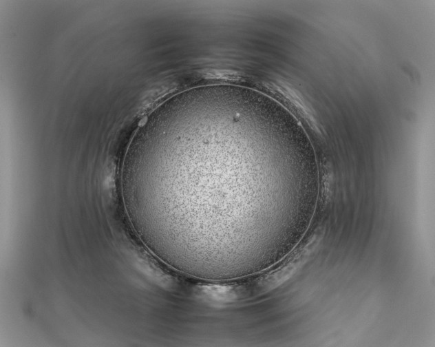 X0000111840265200907301056