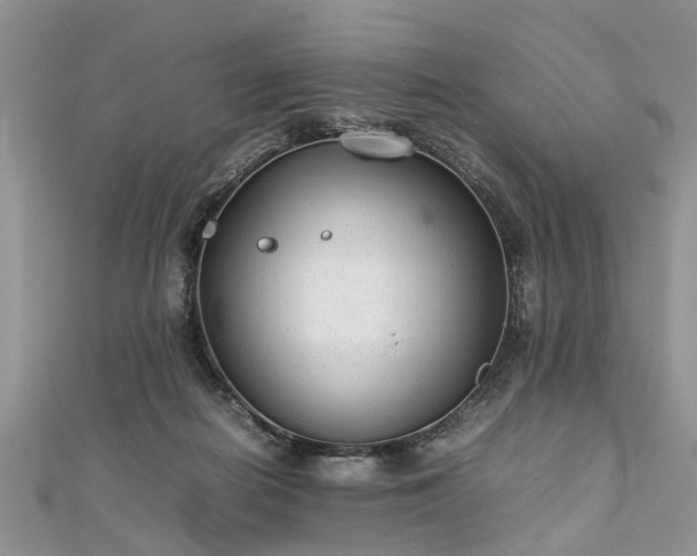 X0000111840266200907301056