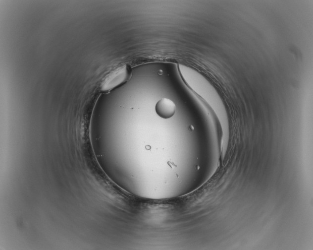 X0000111840268200907301056