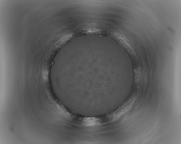 X0000111840269200907301056