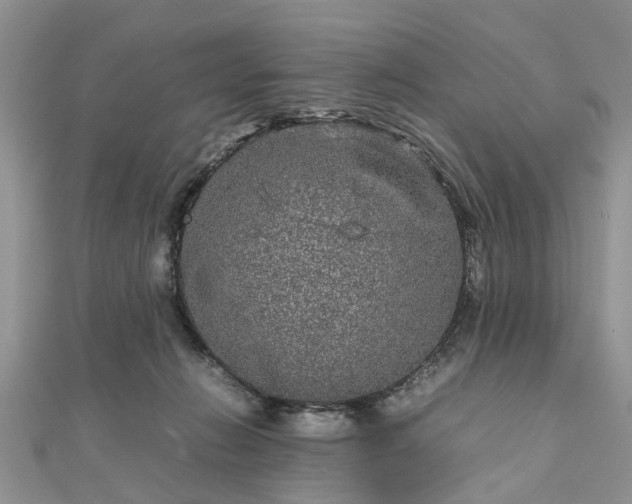 X0000111840270200907301056