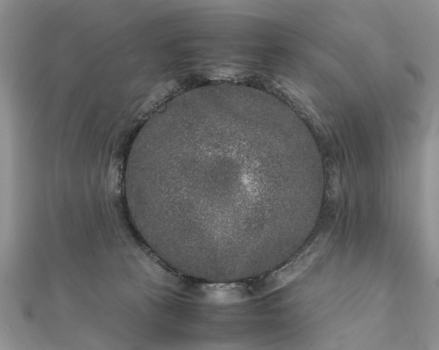 X0000111840273200907301056