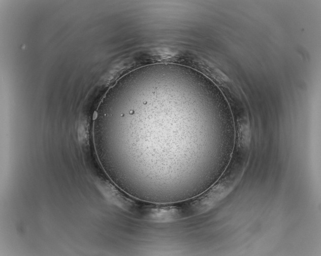 X0000111840274200907301056