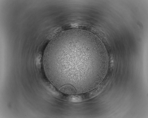 X0000111840275200907301056