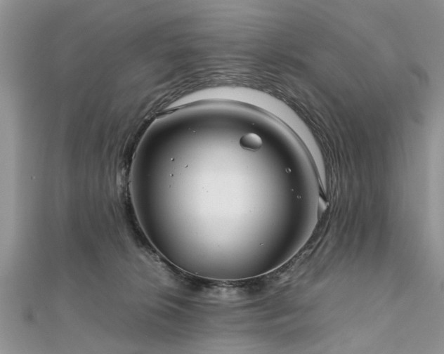 X0000111840276200907301056