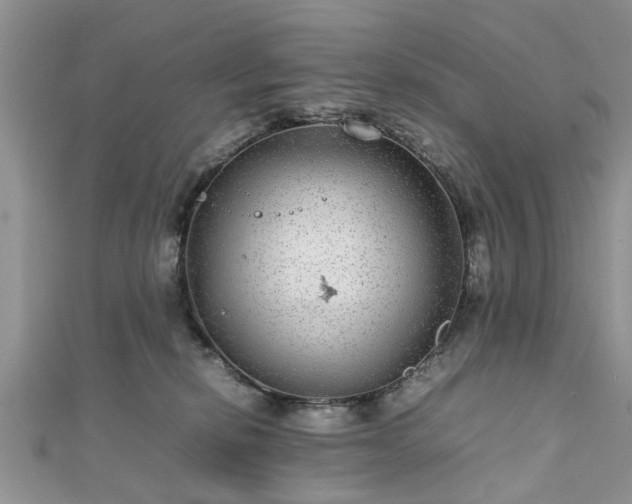 X0000111840278200907301056