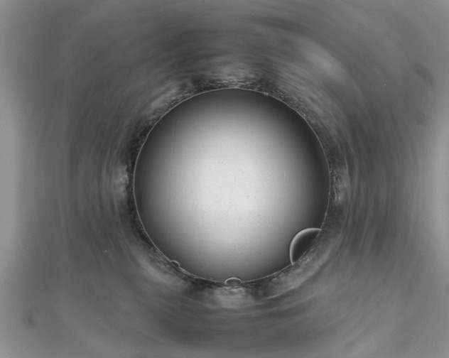 X0000111840279200907301056