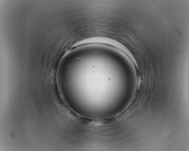 X0000111840280200907301056