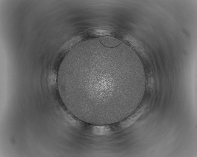 X0000111840281200907301056