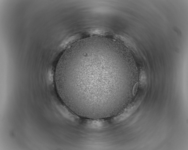 X0000111840282200907301056