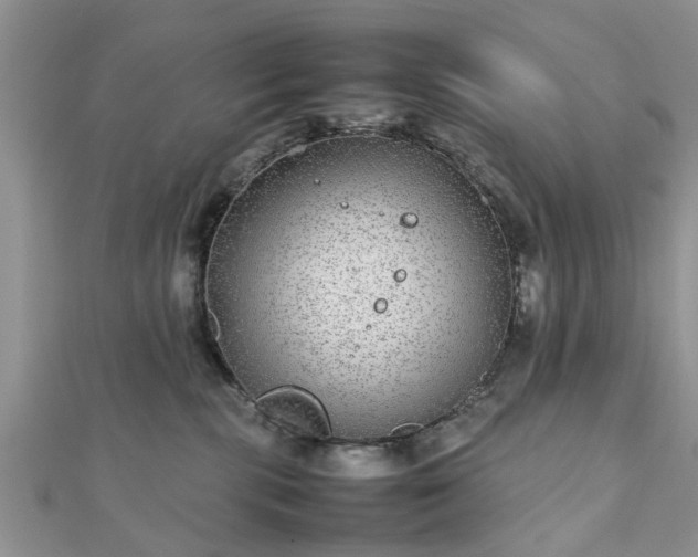 X0000111840283200907301056