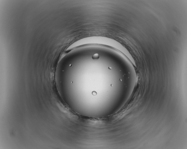 X0000111840284200907301056