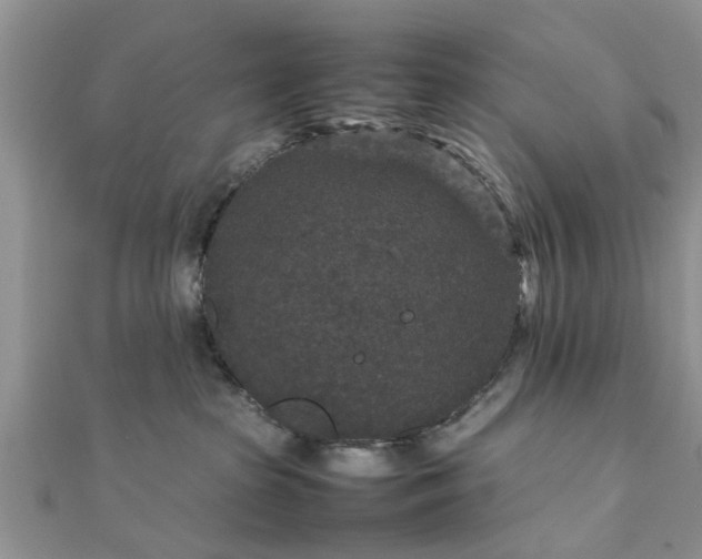 X0000111840285200907301056