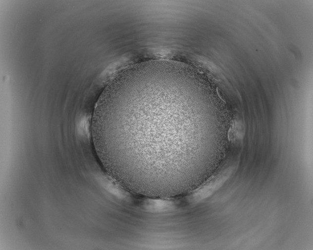 X0000111840286200907301056