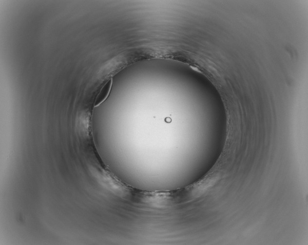 X0000111840288200907301056