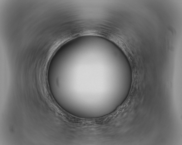 X0000111840289200907301056