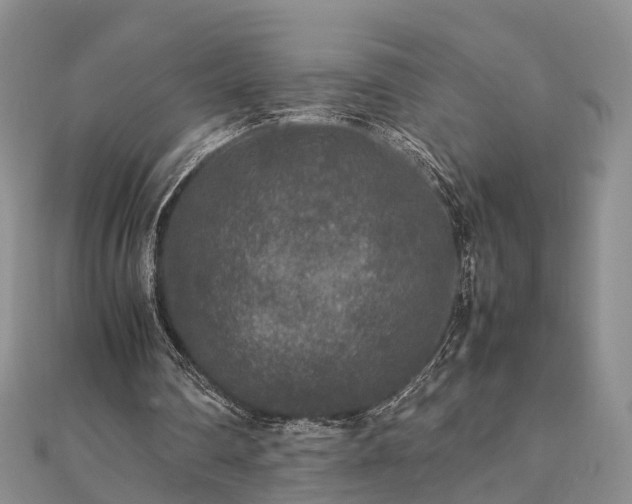 X0000111840290200907301056