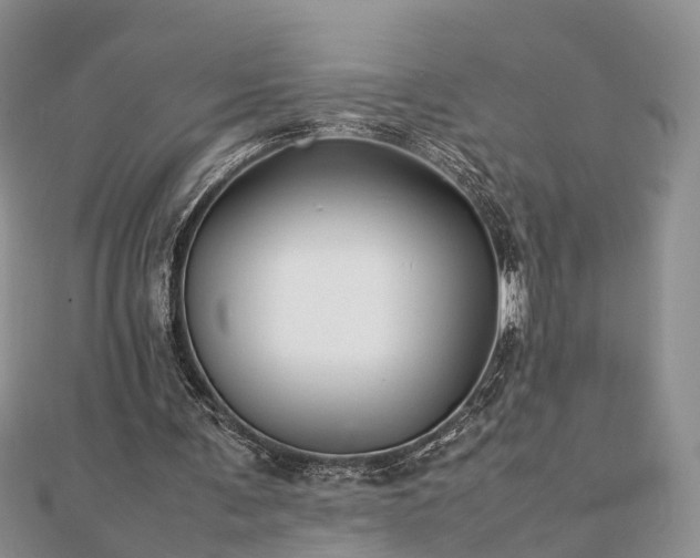 X0000111840291200907301056