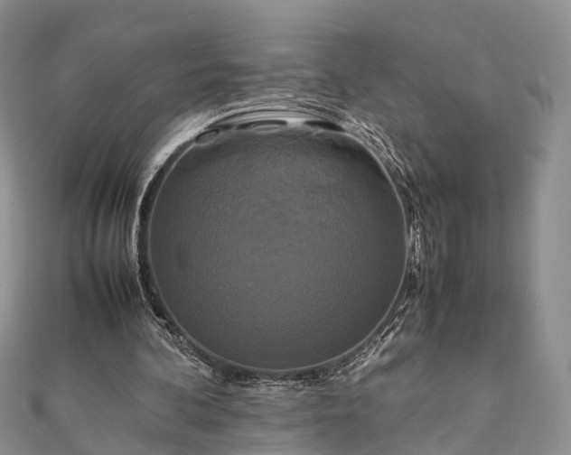 X0000111840292200907301056