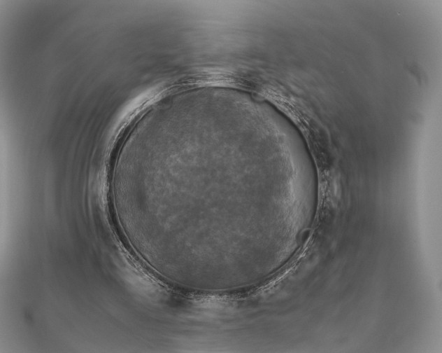 X0000111840293200907301056