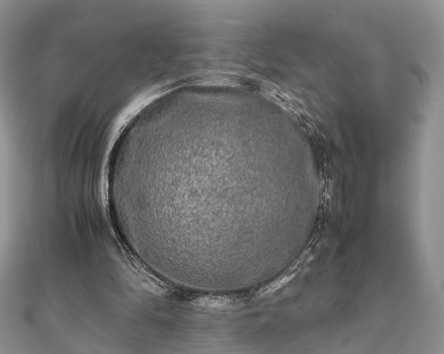 X0000111840294200907301056