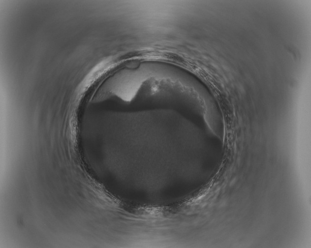 X0000111840295200907301056