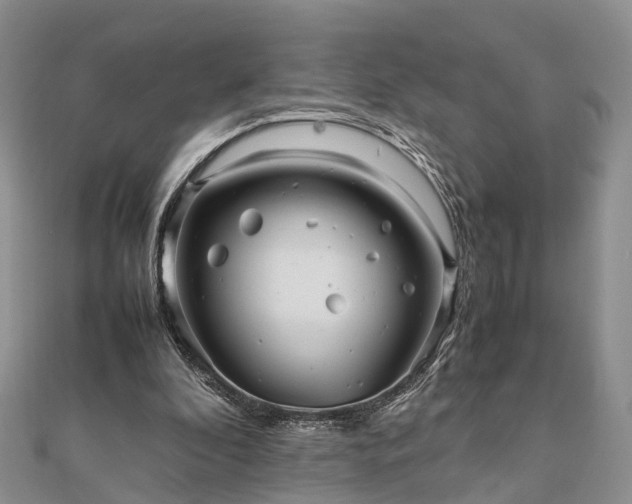 X0000111840296200907301056