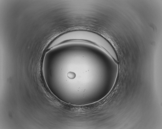 X0000111840297200907301056