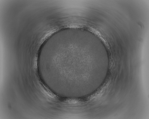 X0000111840299200907301056