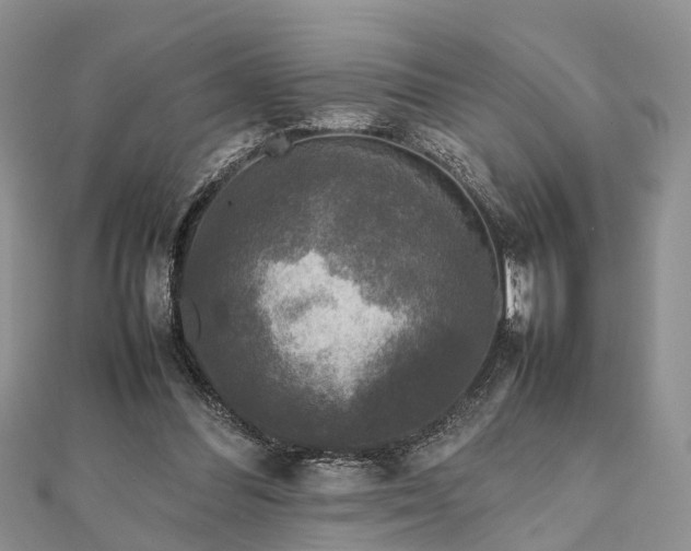 X0000111840300200907301056