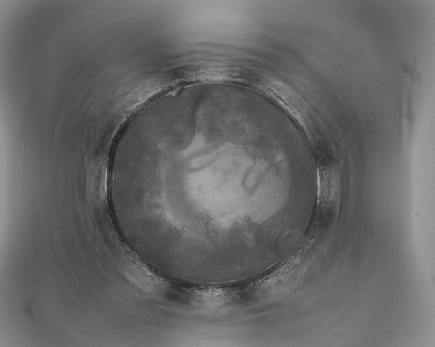 X0000111840301200907301056